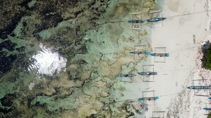 Indonesia - Coral Reef Krui